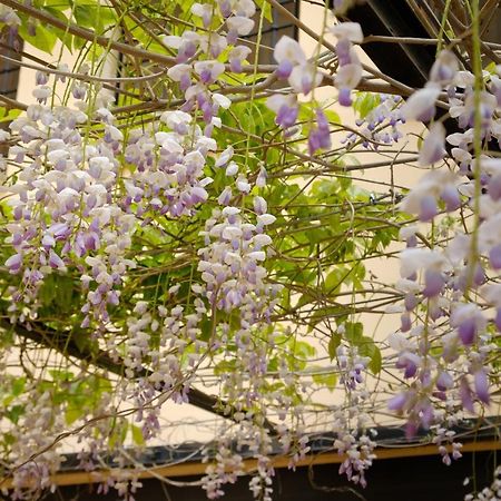 فيلا Casa Lucia ريكينا المظهر الخارجي الصورة