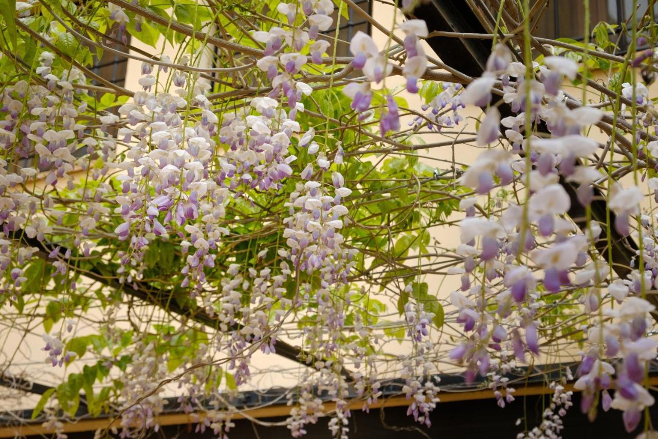 فيلا Casa Lucia ريكينا المظهر الخارجي الصورة